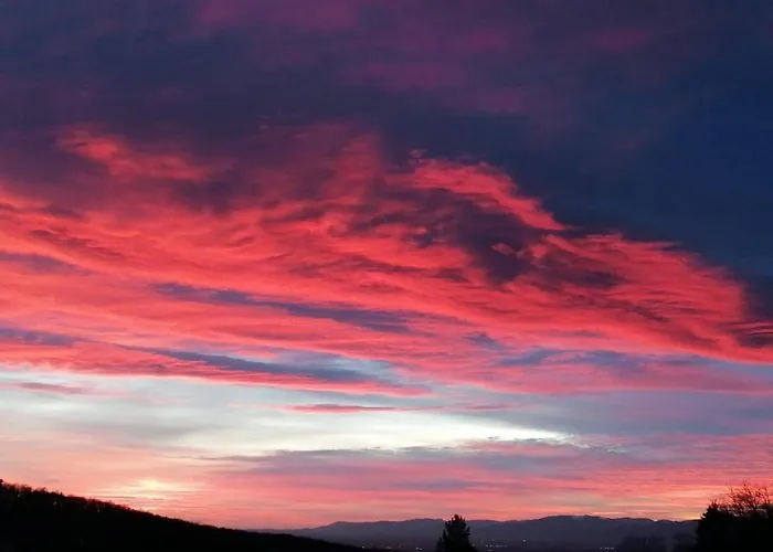 Selina-sophie * Badenweiler